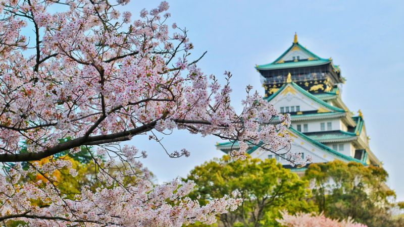 大阪の観光農園の風景