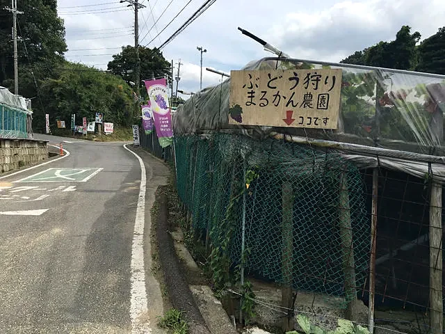 まるかん農園（柏原市観光ぶどうセンター 横尾支部）