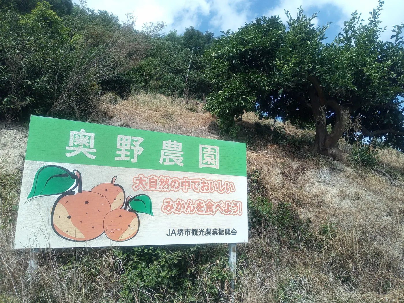 奥野農園（JA堺市観光農業振興会）の様子